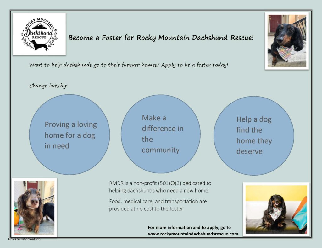 Advertisement for Rocky Mountain Dacshund REscue